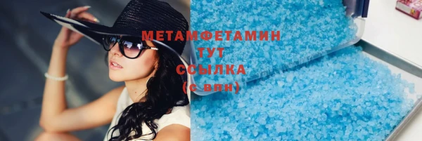 индика Краснослободск